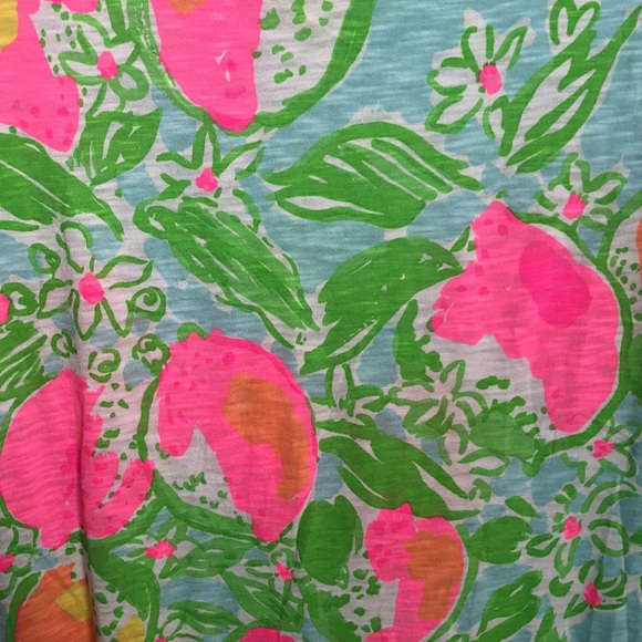 Lilly Pulitzer Long Sleeve Dress in Blue and Pink Floral - Picture 5 of 5